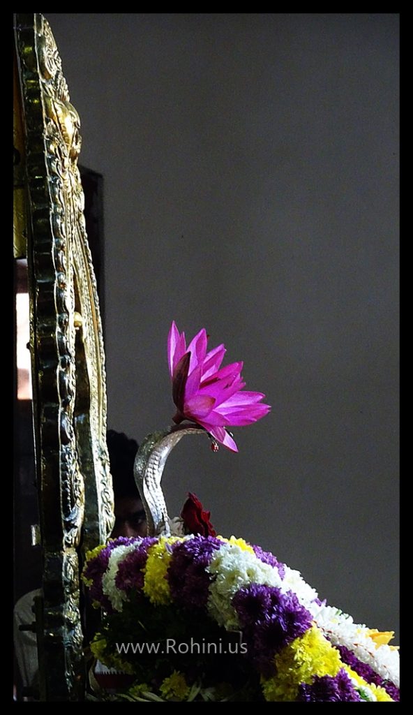 ramana maharshi asramam Tiruvannamalai