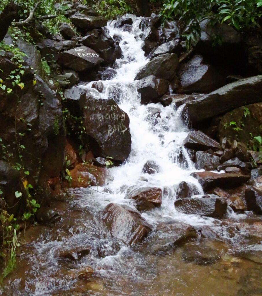 Sakleshpur-waterfalls