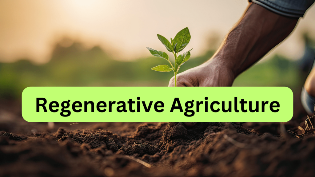 regenerative agriculture