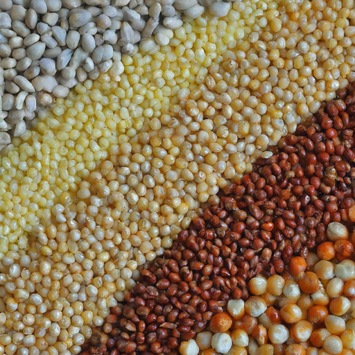 Millets-types