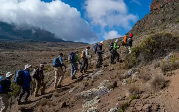 Kilimanjaro-Hiking