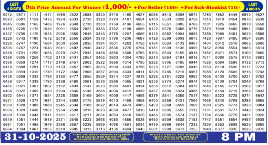 Punjab Lottery Diwali Bumper 2025 3